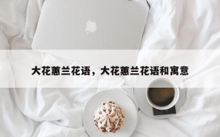 大花蕙兰花语，大花蕙兰花语和寓意