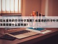 在水里养的竹子叶子发黄？水里养的竹子叶子发黄需要什么营养液？