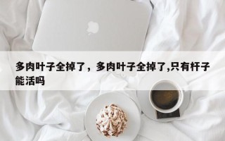 多肉叶子全掉了，多肉叶子全掉了,只有杆子能活吗
