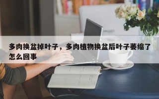 多肉换盆掉叶子，多肉植物换盆后叶子萎缩了怎么回事