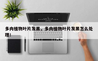 多肉植物叶片发黑，多肉植物叶片发黑怎么处理！