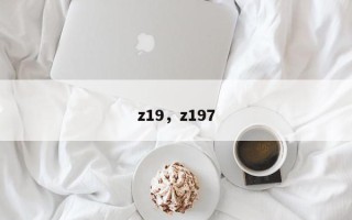 z19，z197