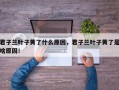 君子兰叶子黄了什么原因，君子兰叶子黄了是啥原因！