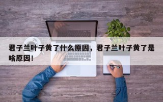 君子兰叶子黄了什么原因，君子兰叶子黄了是啥原因！