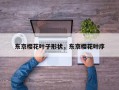 东京樱花叶子形状，东京樱花叶序