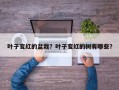 叶子变红的盆栽？叶子变红的树有哪些？