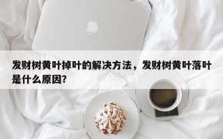 发财树黄叶掉叶的解决方法，发财树黄叶落叶是什么原因？