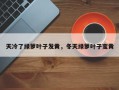 天冷了绿萝叶子发黄，冬天绿萝叶子变黄