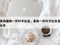 多肉植物一片叶子化水，多肉一片叶子化水怎么办