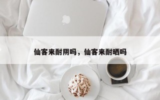 仙客来耐阴吗，仙客来耐晒吗