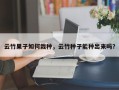 云竹果子如何栽种，云竹种子能种出来吗？