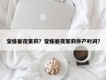 宝格丽夜茉莉？宝格丽夜茉莉停产时间？