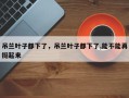 吊兰叶子都下了，吊兰叶子都下了,能不能再挺起来