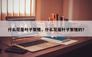 什么花是叶子繁殖，什么花是叶子繁殖的？
