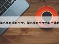仙人掌有没有叶子，仙人掌有叶子吗打一生肖