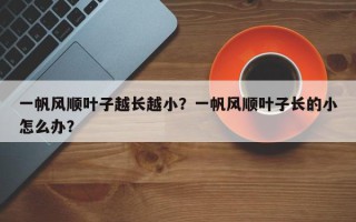 一帆风顺叶子越长越小？一帆风顺叶子长的小怎么办？