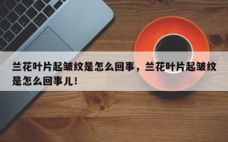 兰花叶片起皱纹是怎么回事，兰花叶片起皱纹是怎么回事儿！