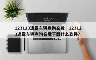 123123违章车辆查询交费，123123违章车辆查询交费下载什么软件？