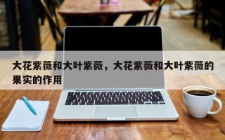 大花紫薇和大叶紫薇，大花紫薇和大叶紫薇的果实的作用