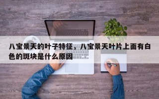八宝景天的叶子特征，八宝景天叶片上面有白色的斑块是什么原因