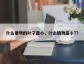 什么植物的叶子最小，什么植物最小?？