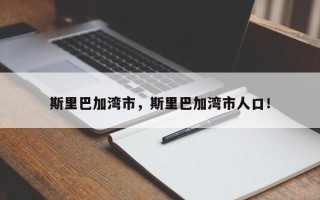 斯里巴加湾市，斯里巴加湾市人口！