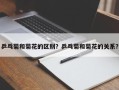 乒乓菊和菊花的区别？乒乓菊和菊花的关系？