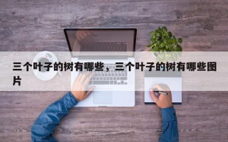 三个叶子的树有哪些，三个叶子的树有哪些图片