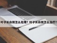 叶子长白斑怎么处理？叶子长白斑怎么治疗？
