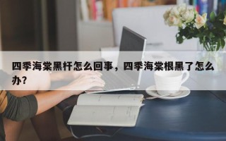 四季海棠黑杆怎么回事，四季海棠根黑了怎么办？
