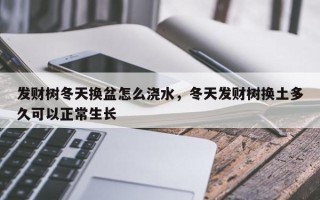 发财树冬天换盆怎么浇水，冬天发财树换土多久可以正常生长