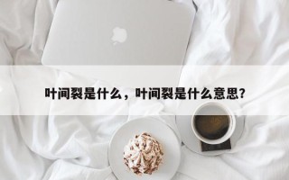 叶间裂是什么，叶间裂是什么意思？