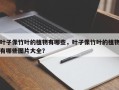叶子像竹叶的植物有哪些，叶子像竹叶的植物有哪些图片大全？