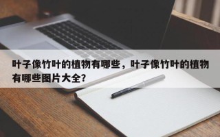 叶子像竹叶的植物有哪些，叶子像竹叶的植物有哪些图片大全？