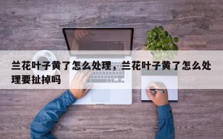 兰花叶子黄了怎么处理，兰花叶子黄了怎么处理要扯掉吗
