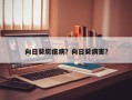 向日葵炭疽病？向日葵病害？