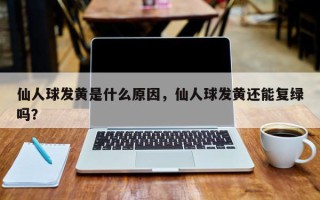 仙人球发黄是什么原因，仙人球发黄还能复绿吗？
