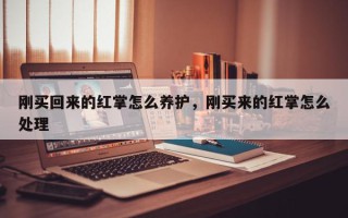 刚买回来的红掌怎么养护，刚买来的红掌怎么处理