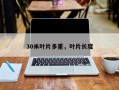 30米叶片多重，叶片长度