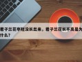 君子兰花亭短没长出来，君子兰花长不高是为什么？