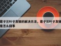 君子兰叶子发皱的解决方法，君子兰叶子发皱是怎么回事