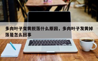 多肉叶子变黄脱落什么原因，多肉叶子发黄掉落是怎么回事