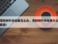 发财树叶尖枯萎怎么办，发财树叶尖枯黄什么原因！