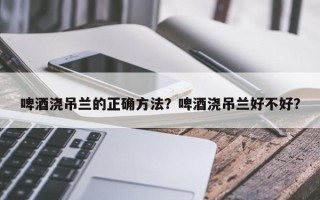 啤酒浇吊兰的正确方法？啤酒浇吊兰好不好？