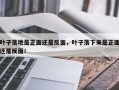 叶子落地是正面还是反面，叶子落下来是正面还是反面！