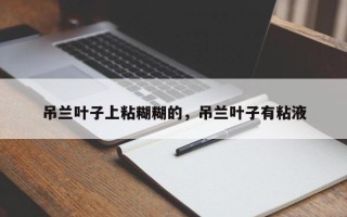 吊兰叶子上粘糊糊的，吊兰叶子有粘液