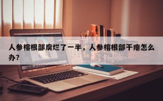 人参榕根部腐烂了一半，人参榕根部干瘪怎么办？