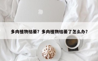 多肉植物枯萎？多肉植物枯萎了怎么办？
