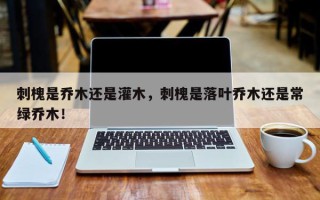 刺槐是乔木还是灌木，刺槐是落叶乔木还是常绿乔木！