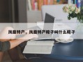 凤凰特产，凤凰特产粽子叫什么粽子